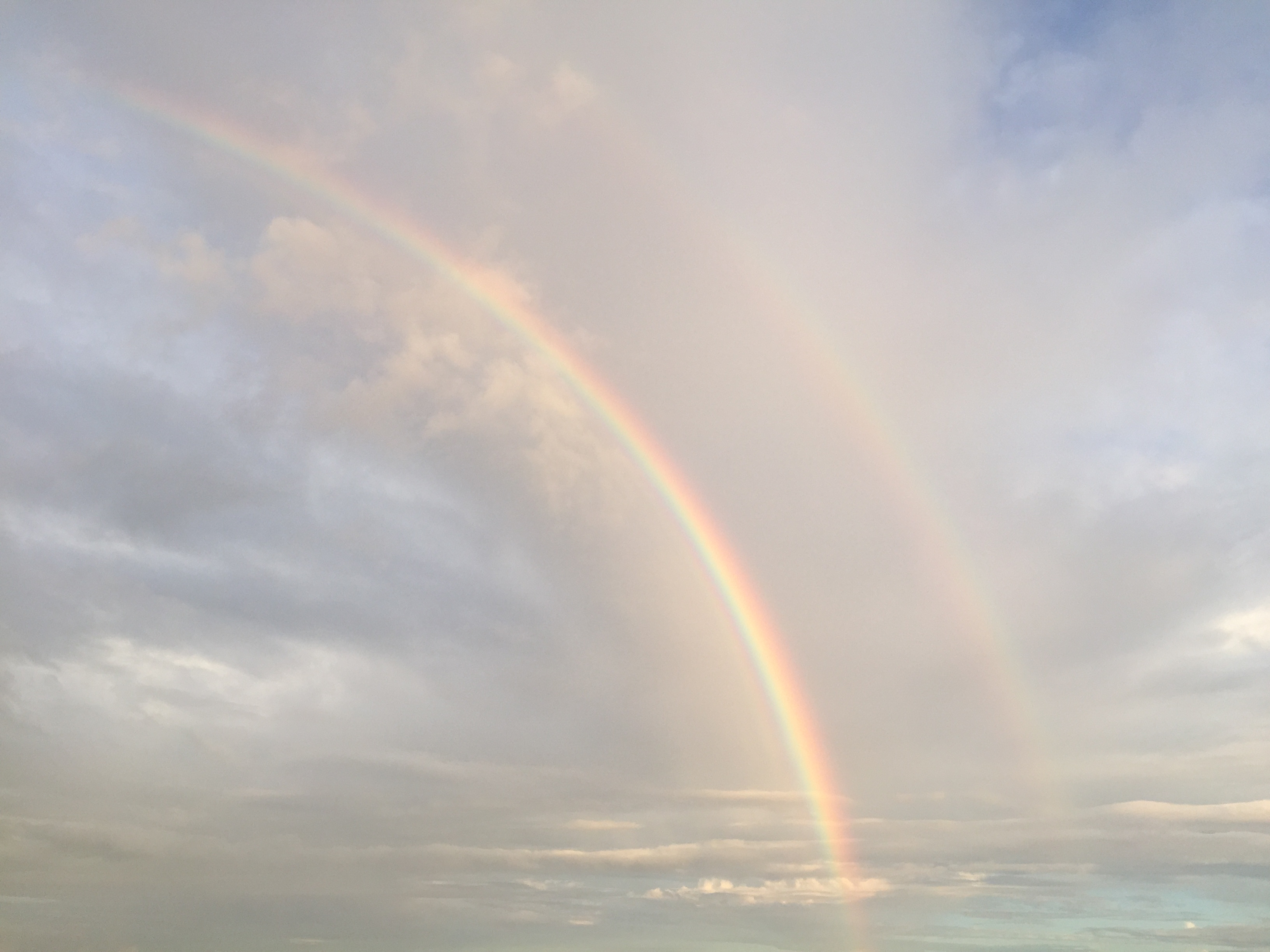 二重の虹が見えました トピックス 医療法人社団 八洲会 はいなん吉田病院